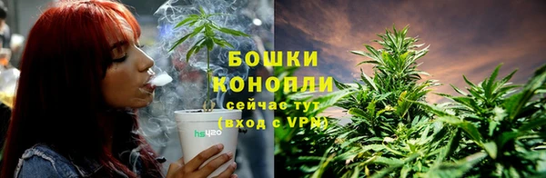дурь Медвежьегорск