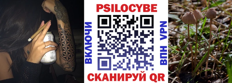 Купить где  Богородск  Галлюциногенные грибы прущие грибы 